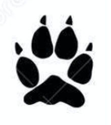 Coyote Track