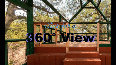 360 View of The Tree House