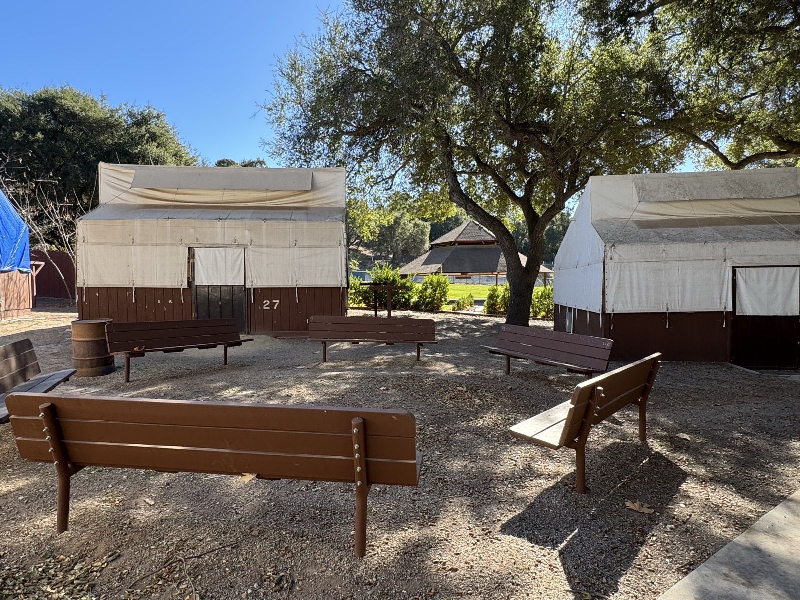Canvas-walled cabin housing and a bench circle under an oak at Camp Ramah