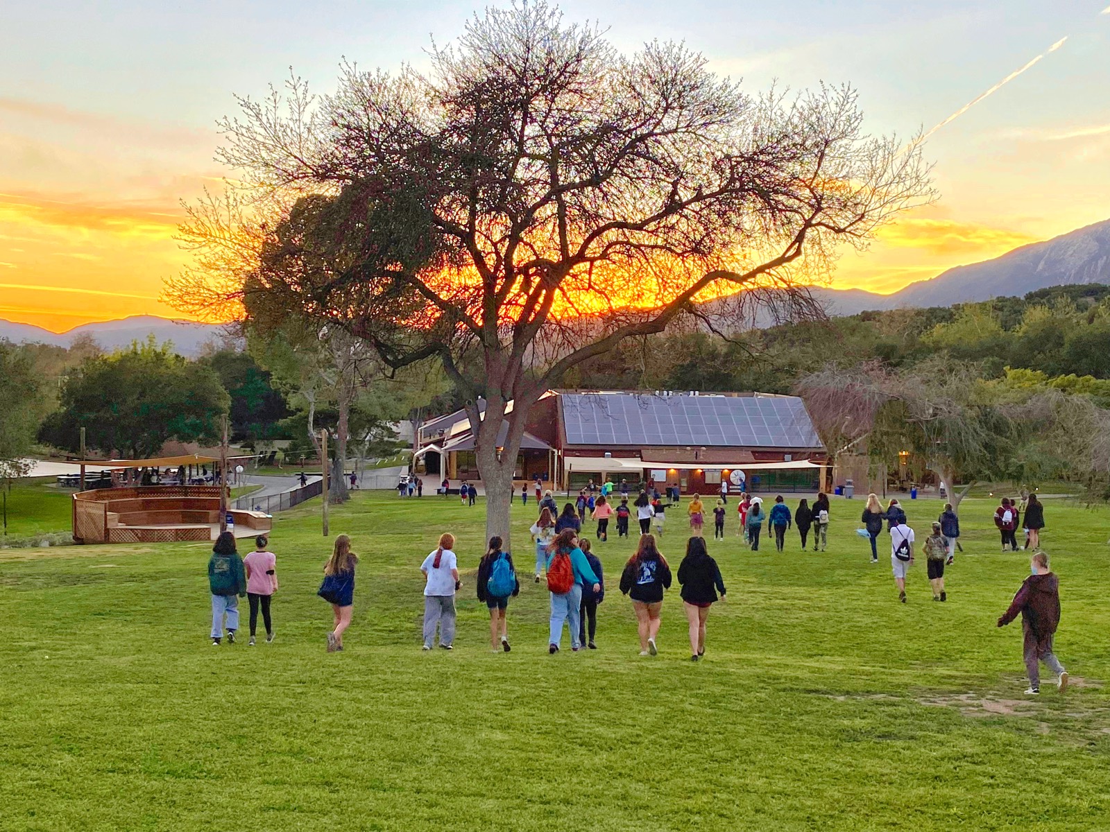Students walking across the camp lawn toward the dining hall at sunset at Camp Ramah