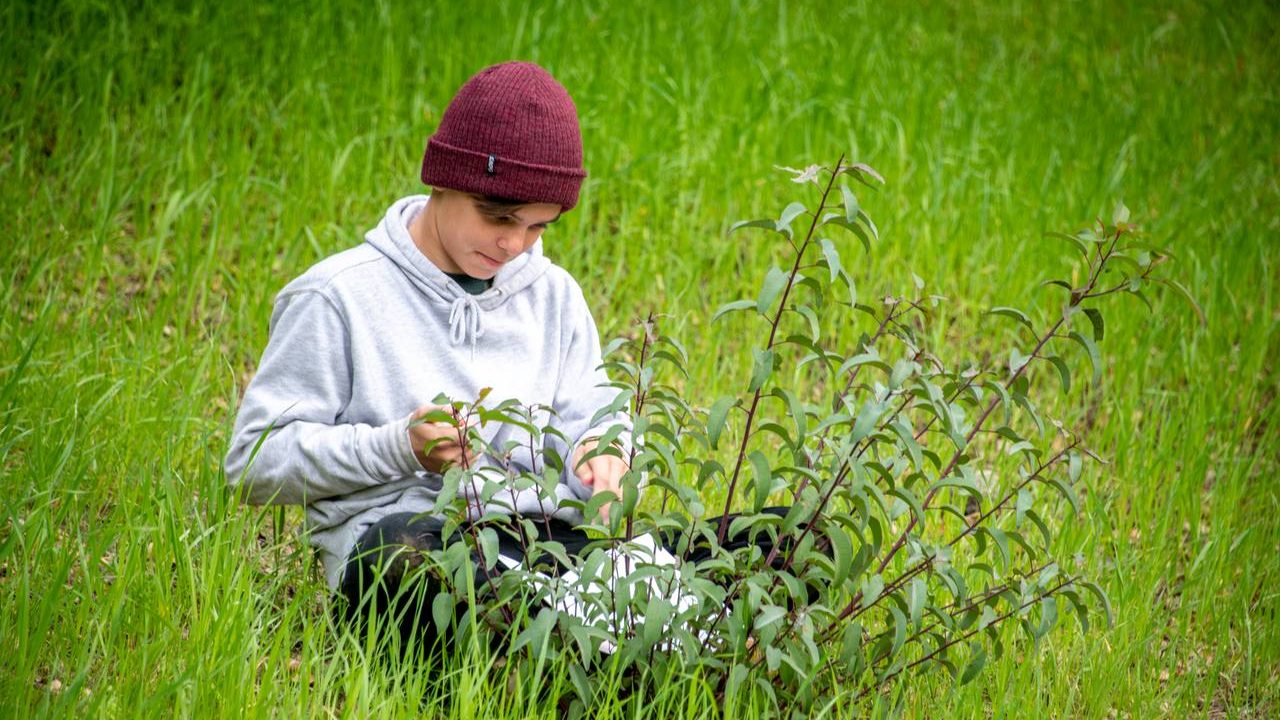 A naturalist and students examining plants on the trail